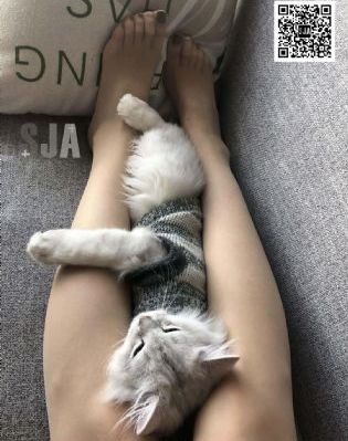 日本av天堂_国产剧免费高清观看