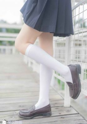 小菊的秋天